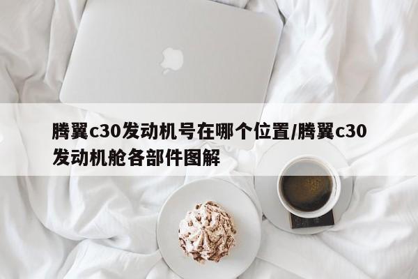 腾翼c30发动机号在哪个位置/腾翼c30发动机舱各部件图解