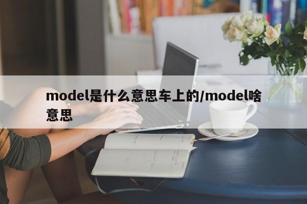model是什么意思车上的/model啥意思