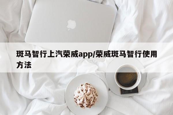 斑马智行上汽荣威app/荣威斑马智行使用方法