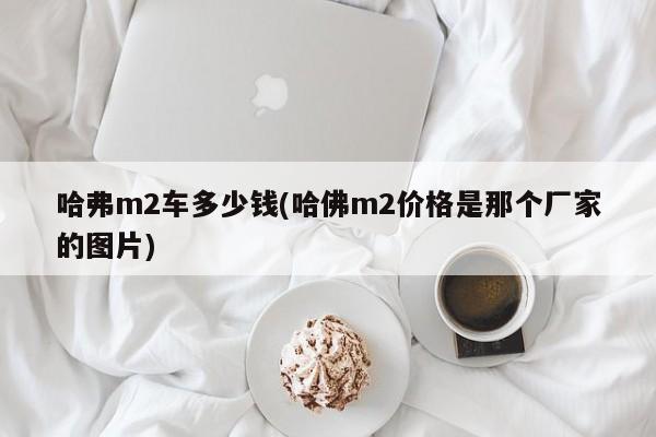 哈弗m2车多少钱(哈佛m2价格是那个厂家的图片)